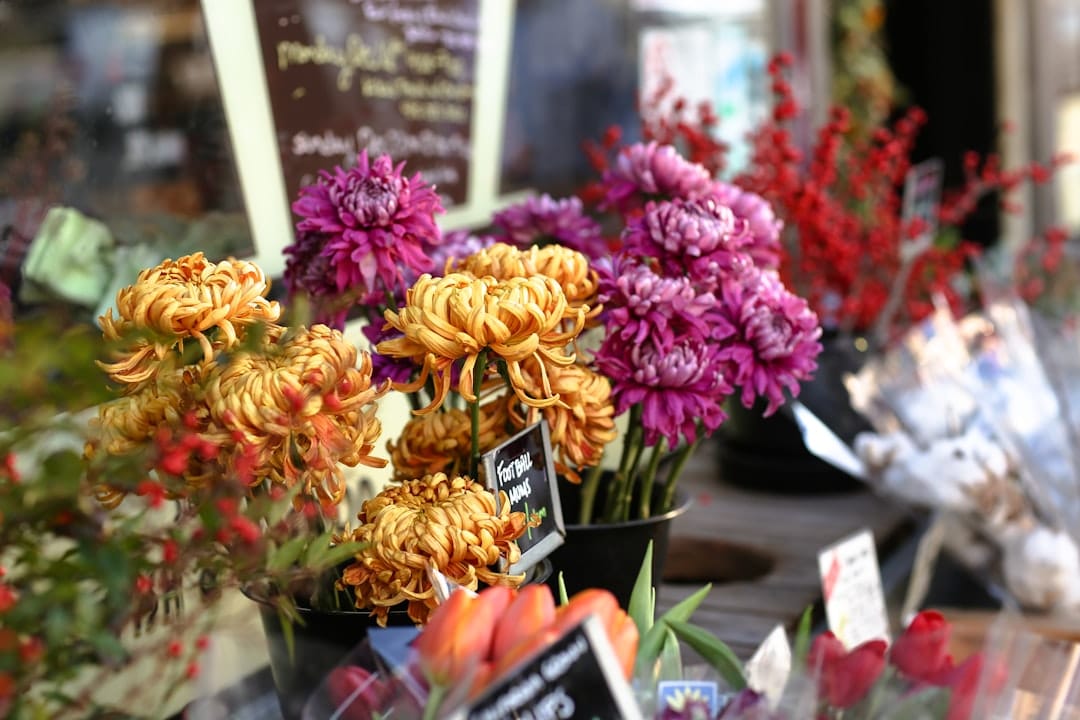 Discover Top-Rated Florists in Waco for Your Event | 2024