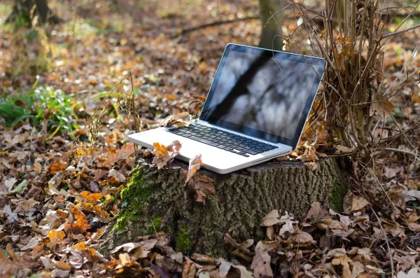 testing the best internet service providers in texas with laptop on tree trunk